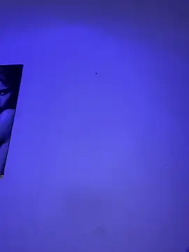 Snapshot of _Chartlotte chatting on 02/04/25, 12:19 Chartlotte online show from 02/04/25, 12:19