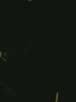 Pressure69mee online show from 03/02/25, 10:59