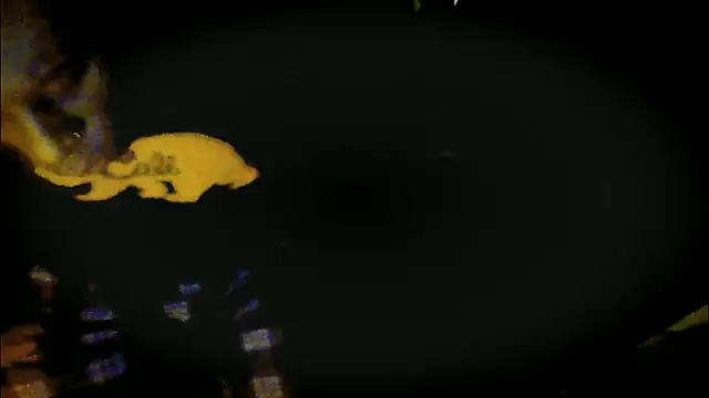 Pressure69mee online show from 03/12/25, 09:24