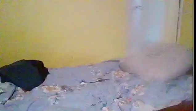 Regularfucker28 online show from 04/23/26, 05:37