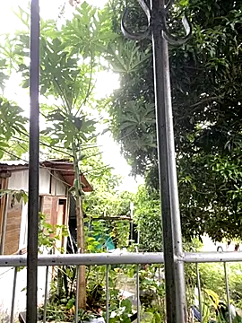 Snapshot of Jestebanano chatting on 10/18/25, 08:20 Jestebanano online show from 10/18/25, 08:20