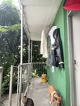 Snapshot of Jestebanano chatting on 02/04/26, 07:42 Jestebanano online show from 02/04/26, 07:42