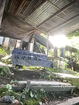 Jestebanano online show from 04/02/26, 02:26