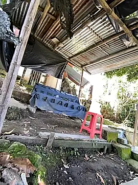 Jestebanano online show from 05/26/26, 03:41