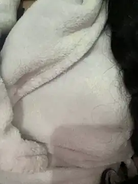 Lina-lolo online show from 12/24/24, 05:34