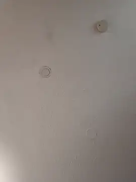 geilerschwanz64 online show from 01/18/25, 11:21