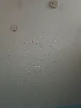 geilerschwanz64 online show from 02/03/25, 05:46