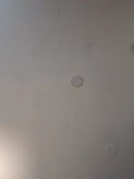 geilerschwanz64 online show from 03/19/25, 12:59