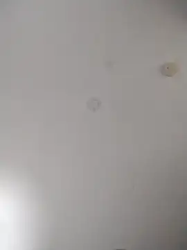 geilerschwanz64 online show from 10/27/25, 02:15