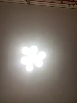 Snapshot of Janet_Welder chatting on 11/16/25, 08:25 Janet Welder online show from 11/16/25, 08:25