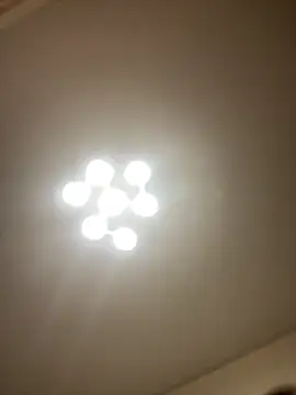 Janet Welder online show from 03/11/26, 08:48