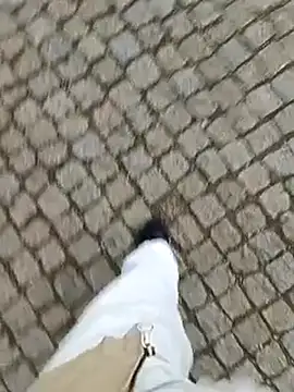 domexib online show from 02/15/25, 05:39