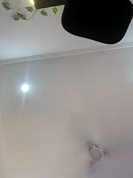 Archi-07 online show from 10/24/25, 08:11