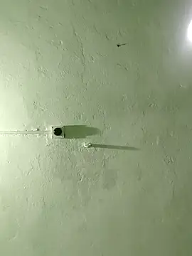 Snapshot of RADHAHO chatting on 10/29/25, 08:32 RADHAHO online show from 10/29/25, 08:32