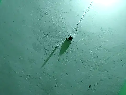 Snapshot of RADHAHO chatting on 11/02/25, 09:50 RADHAHO online show from 11/02/25, 09:50