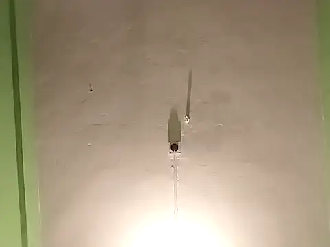 Snapshot of RADHAHO chatting on 11/04/25, 05:34 RADHAHO online show from 11/04/25, 05:34