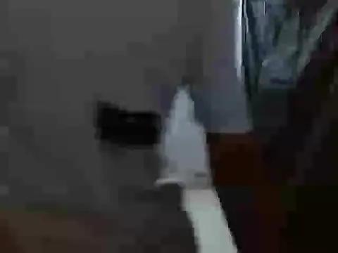 latino hotxxx online show from 10/20/25, 11:27