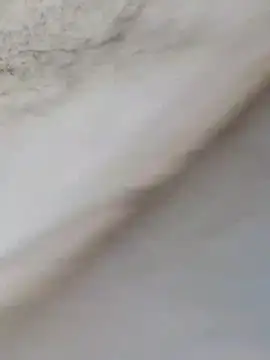 MrNick74 online show from 12/22/25, 12:24