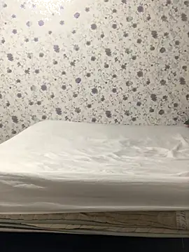 Snapshot of ahross chatting on 10/04/25, 11:08 ahross online show from 10/04/25, 11:08