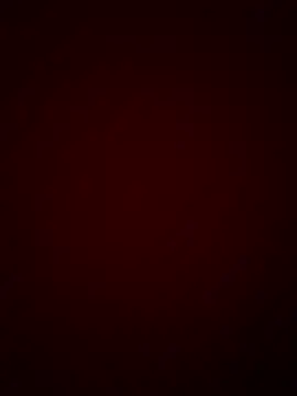 DINA-FOX online show from 01/30/25, 11:55