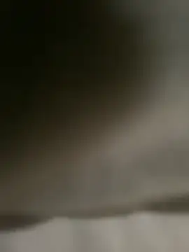 DINA-FOX online show from 02/01/25, 02:02