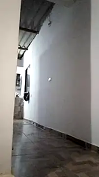 evafoxs online show from 01/31/25, 01:33