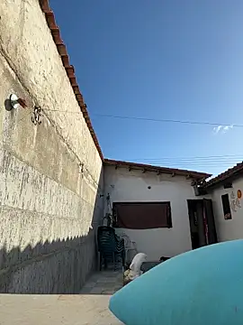 Leo bunny hot online show from 12/13/25, 08:25