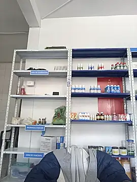 Megan jennerr online show from 11/07/25, 02:39