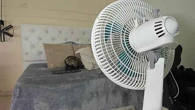 Slut Milf  online show from 01/23/25, 10:44