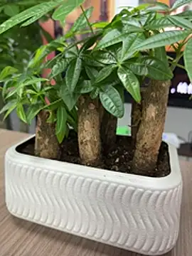 wiktor1980 online show from 04/28/26, 06:51