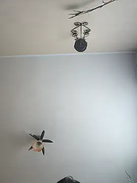 vulpe8400 online show from 04/06/26, 08:04