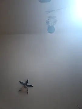 vulpe8400 online show from 04/07/26, 10:31