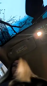 SukyGirl online show from 02/03/25, 05:40