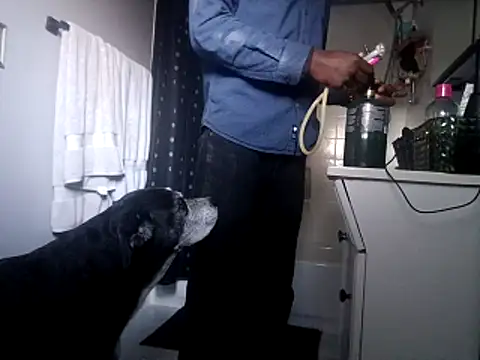 Snapshot of DevinToore chatting on 10/31/25, 10:33 DevinToore online show from 10/31/25, 10:33