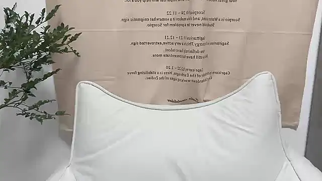 Snapshot of Arrebo1 chatting on 12/04/24, 02:37 Arrebo1 online show from 12/04/24, 02:37