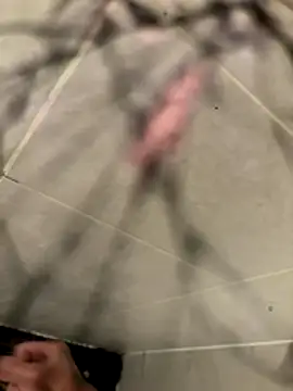 lescro95  online show from 12/02/25, 05:41