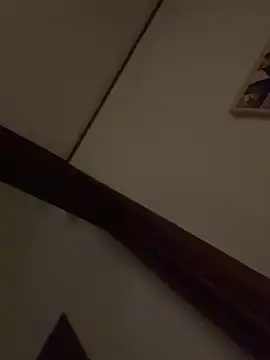 Snapshot of Dikkiduohottt chatting on 02/12/25, 01:52 Dikkiduohottt online show from 02/12/25, 01:52