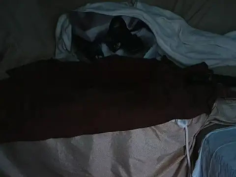 VeneRed online show from 10/01/25, 06:47