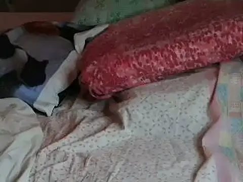 VeneRed online show from 04/06/26, 06:20