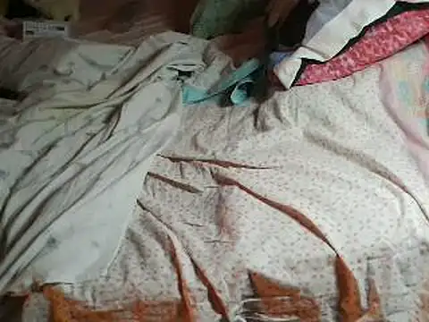 VeneRed online show from 04/11/26, 07:29