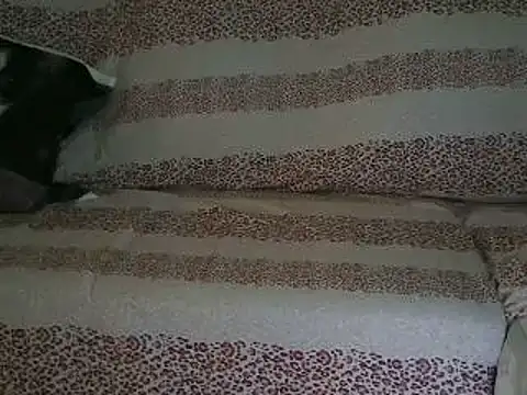 VeneRed online show from 04/17/26, 09:45