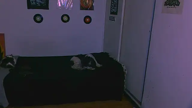 Snapshot of alex_one888 chatting on 11/09/25, 11:03 alex one888 online show from 11/09/25, 11:03