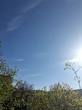 CeriseLapine online show from 03/28/26, 07:41