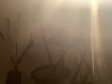 Snapshot of mesetti chatting on 12/08/24, 03:13 mesetti online show from 12/08/24, 03:13