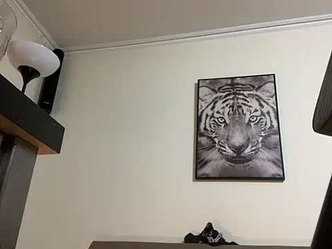 Snapshot of mesetti chatting on 02/14/25, 08:05 mesetti online show from 02/14/25, 08:05