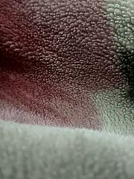 Anamika Kapoor online show from 11/27/25, 06:26