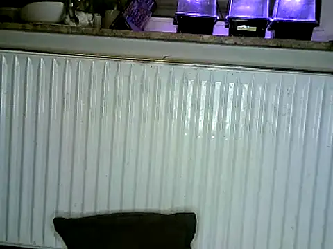 yola181 online show from 02/13/25, 06:52