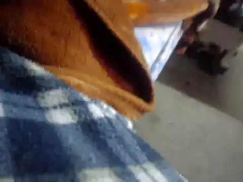 licalo56 online show from 01/12/26, 11:10