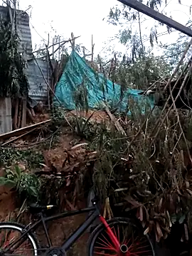 Snapshot of tayson_ chatting on 02/07/26, 11:36 tayson online show from 02/07/26, 11:36