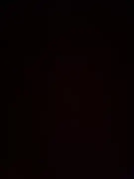 Xiaomi-Angela online show from 04/13/26, 12:43